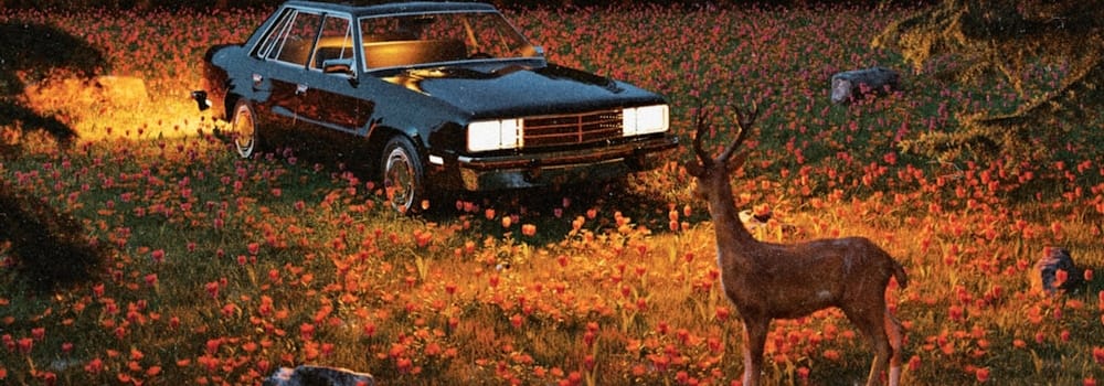 Un bon indien est un indien mort, Caribou fatal